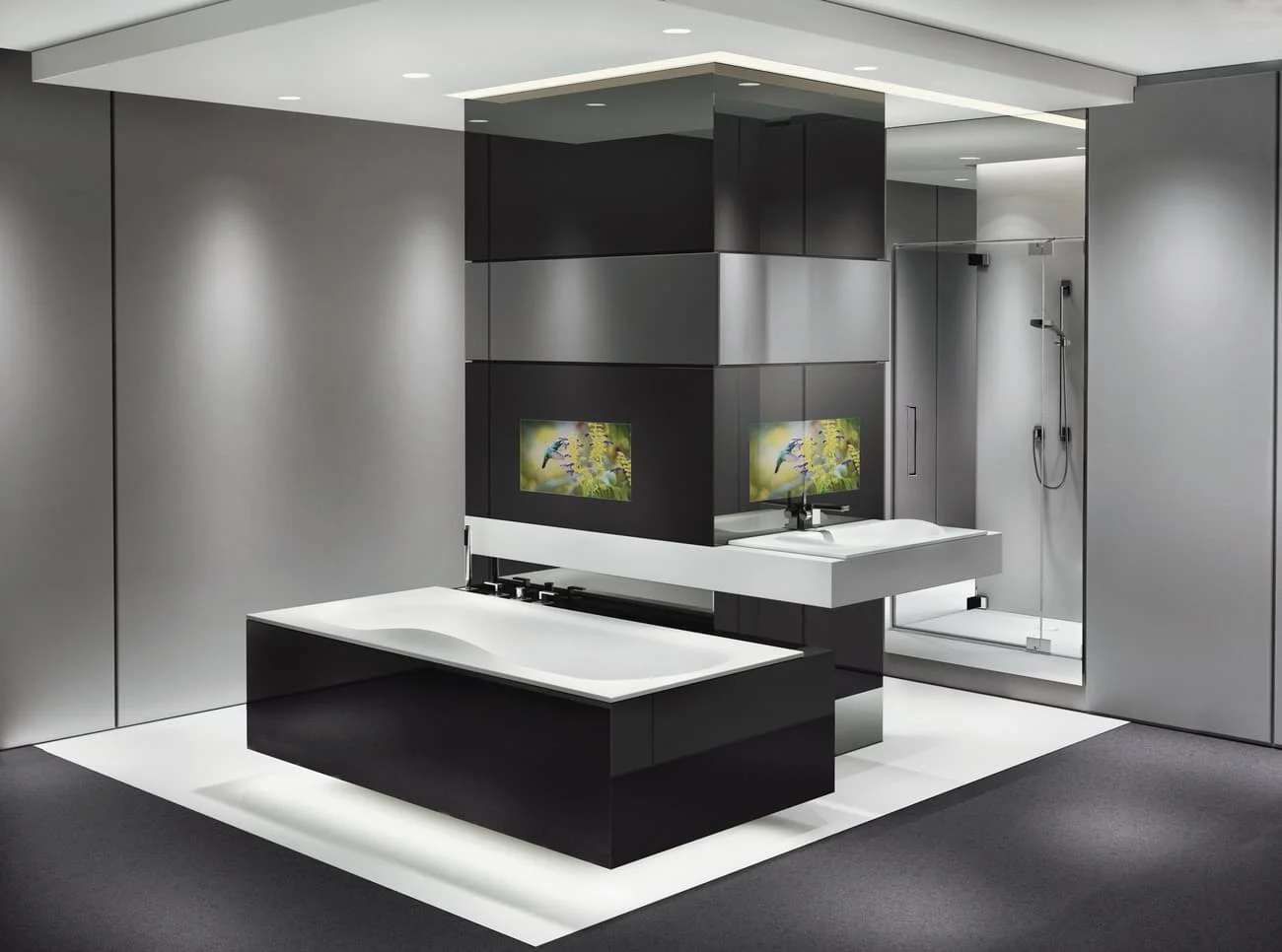 Smart Bathroom TV