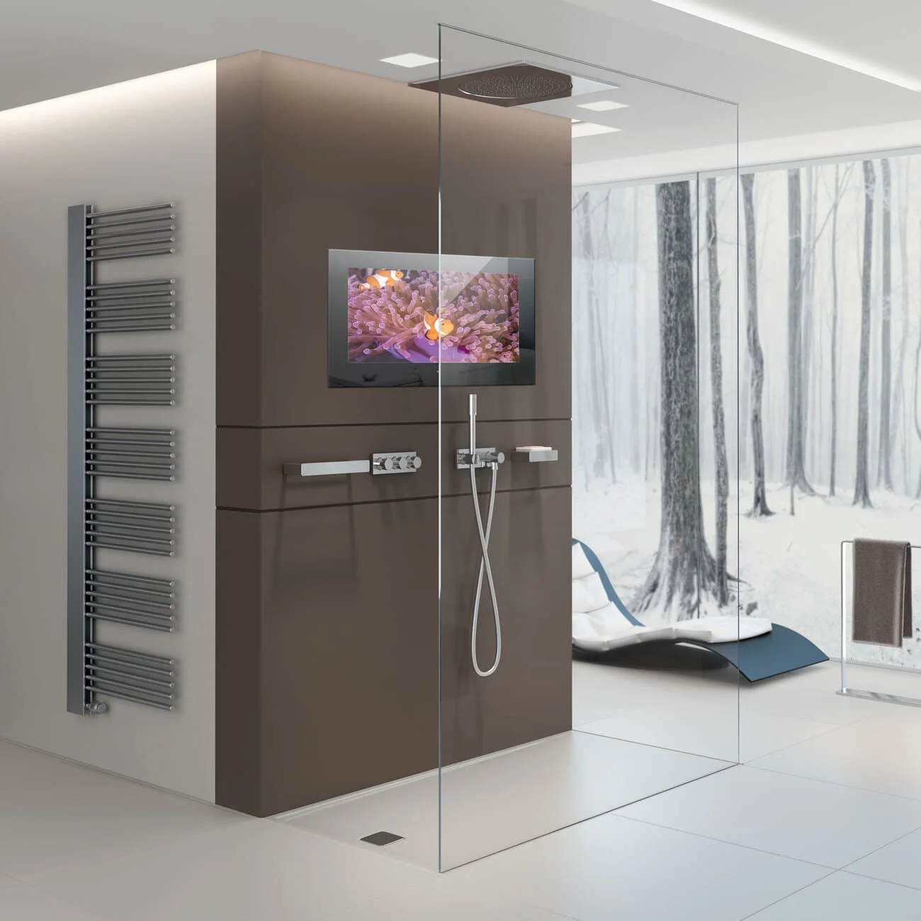Smart Bathroom TV